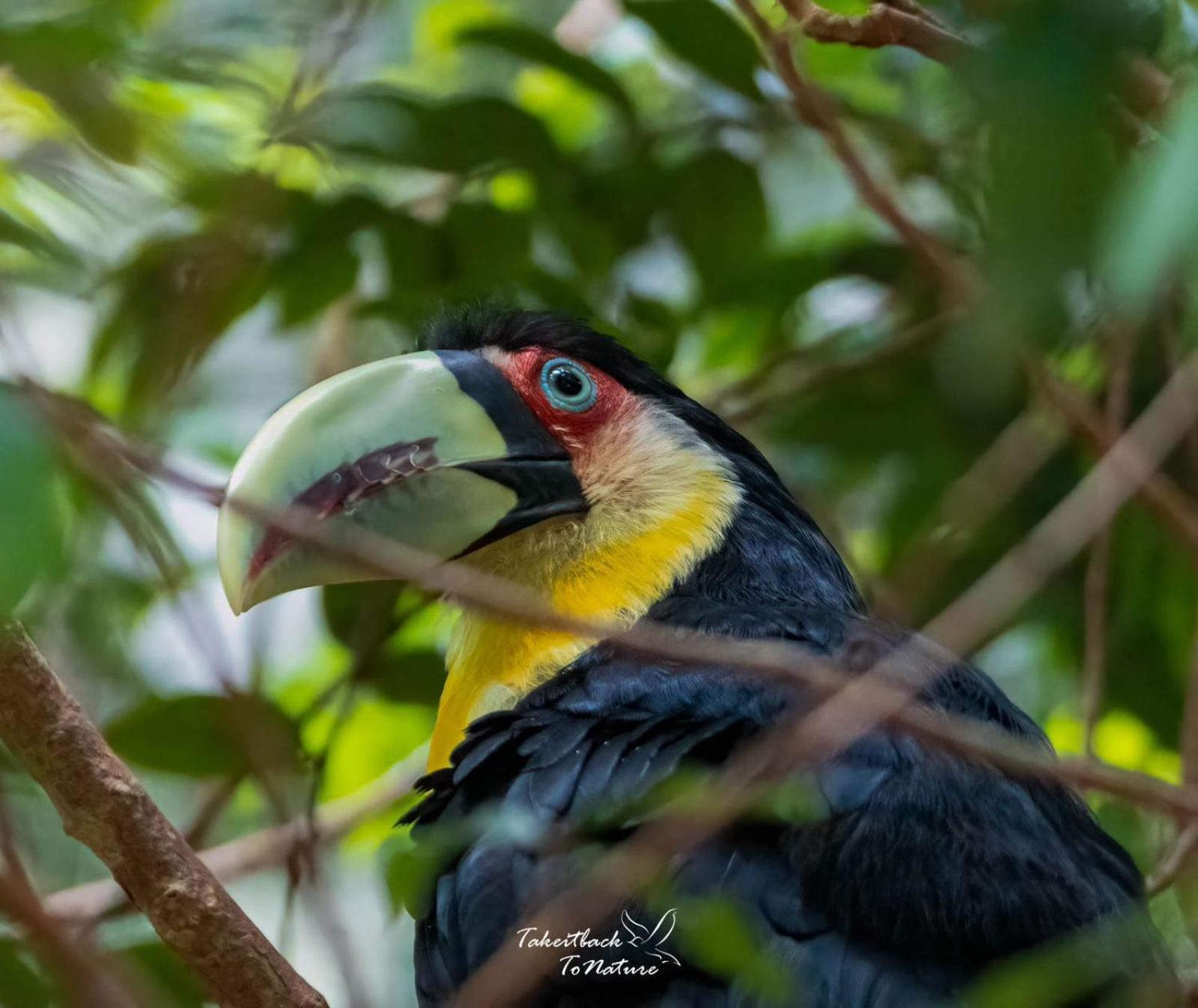 Lagamar Eco Hotel Cananeia Bagian luar foto